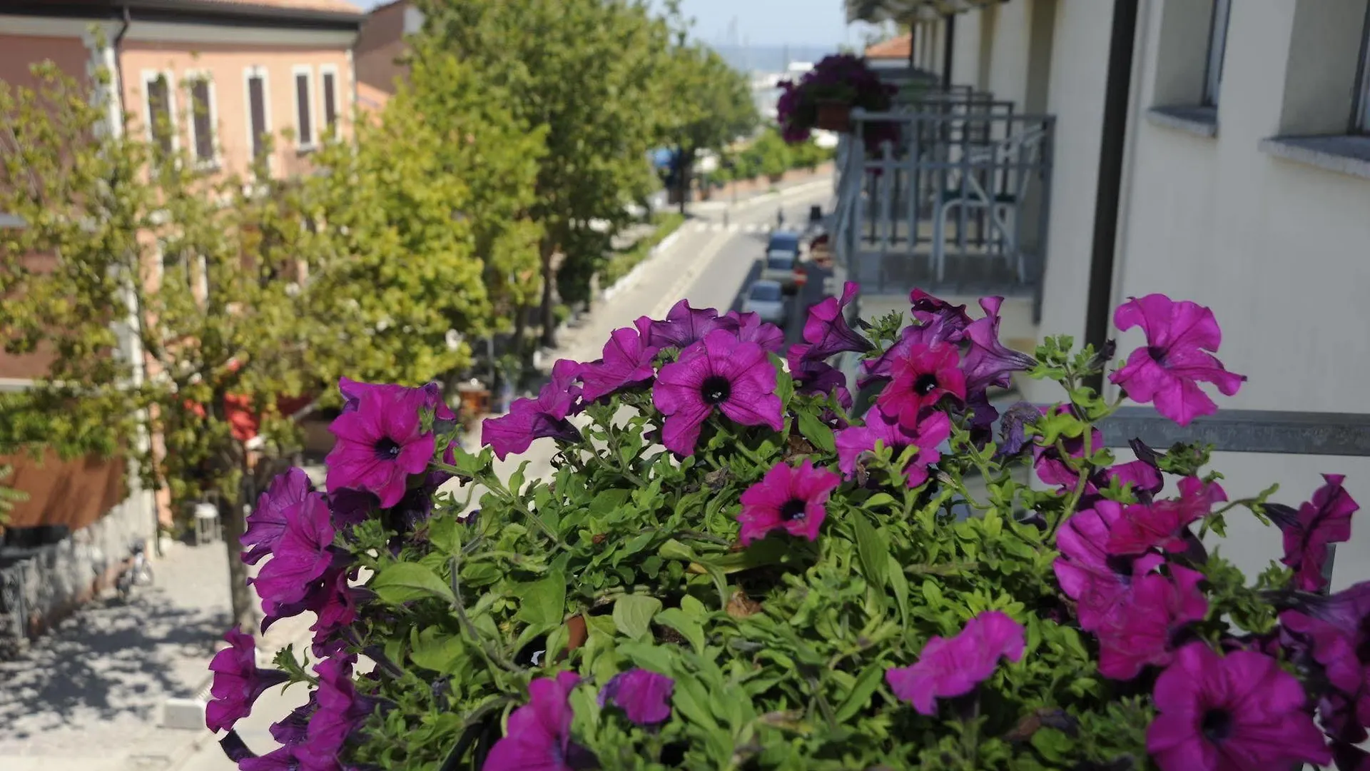 ***  Hotel Al Faro Cervia Italy